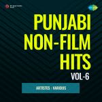 Punjabi Non-Film Hits Vol-6