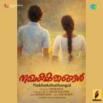 Nakhakshathangal