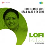 Tumi Kemon Kore Gaan Karo Hey Guni - Lofi Mix