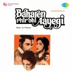 Baharen Phir Bhi Aayengi