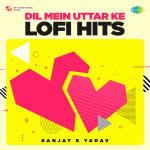 Dil Mein Uttar Ke Lofi Hits