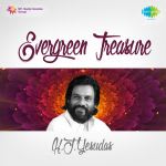Evergreen Treasure - K J Yesudas