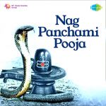 Nag Panchami Pooja