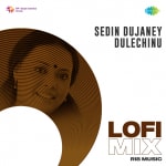 Sedin Dujaney Dulechinu - Lofi Mix