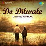 Do Dilwale