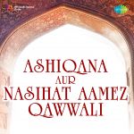 Ashiqana Aur Nasihat Aamez Qawwali