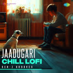 Jaadugari - Chill Lofi