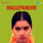 Mallepandiri