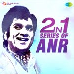 2 in 1 Series of ANR