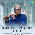 Haunting Melodies - Flute - N. Ramani