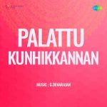 Palattu Kunhikkannan