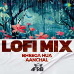 Bheega Hua Aanchal - LoFi Mix