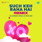 Such Keh Raha Hai Remix