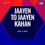 Jaayen To Jaayen Kahan
