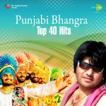 Top 40 Bhangra Hits