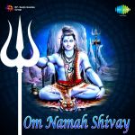 Om Namah Shivay