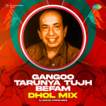 Gangoo Tarunya Tujh Befam - Dhol Mix