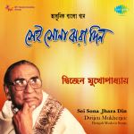 Dwijen Mukherjee-Sei Sona Jhara Din