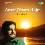 Nitin Mukesh Amar Naam Raju