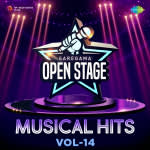 Open Stage Musical Hits - Vol 14