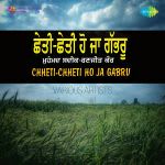 Chheti Chheti Hoja Gabroo - Punjabi Duet Songs