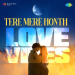 Tere Mere Honth - Love Vibes