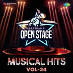 Open Stage Musical Hits - Vol 24