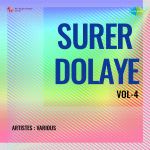 Surer Dolaye Vol-4