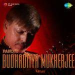 Sitar - Pt. Budhaditya Mukherjee