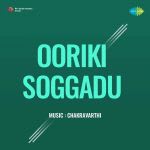 Ooriki Soggadu