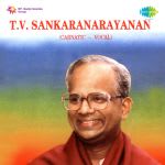 T.V. Sankaranarayanan - Carnatic