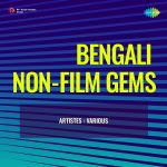Bengali Non-Film Gems