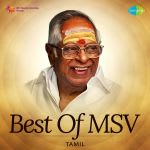 Best of M.S.V
