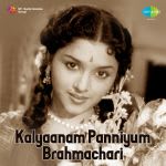 Kalyaanam Panniyum Brahmachari