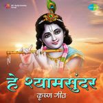 Hey Shyamsunder - Krishna Geete