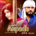 Byah Di Anpad Hali Ke (Remix)