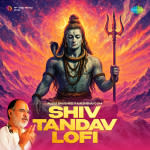 Shiv Tandav - Lofi