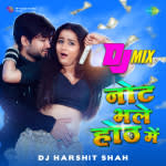 Note Bhale Honth Mein - DJ MIX