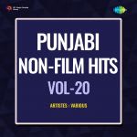 Punjabi Non-Film Hits Vol-20