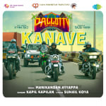Kanave - Pallotty 90's Kids