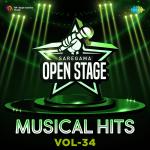 Open Stage Musical Hits - Vol 34