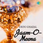 Urdu Ghazal - Jaam - O - Meena