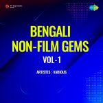 Bengali Non-Film Gems Vol-1