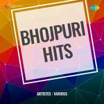 Bhojpuri Hits