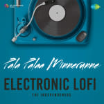 Pala Palaa Minnerunne - Electronic Lofi