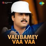 Valibame Vava