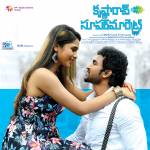 Krishnarao Super Market - BGM