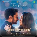 Thira Punarum - Shyam Singha Roy - Malayalam