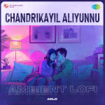 Chandrikayil Aliyunnu - Ambient Lofi