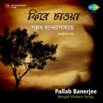Pallab Banerjee-Modern